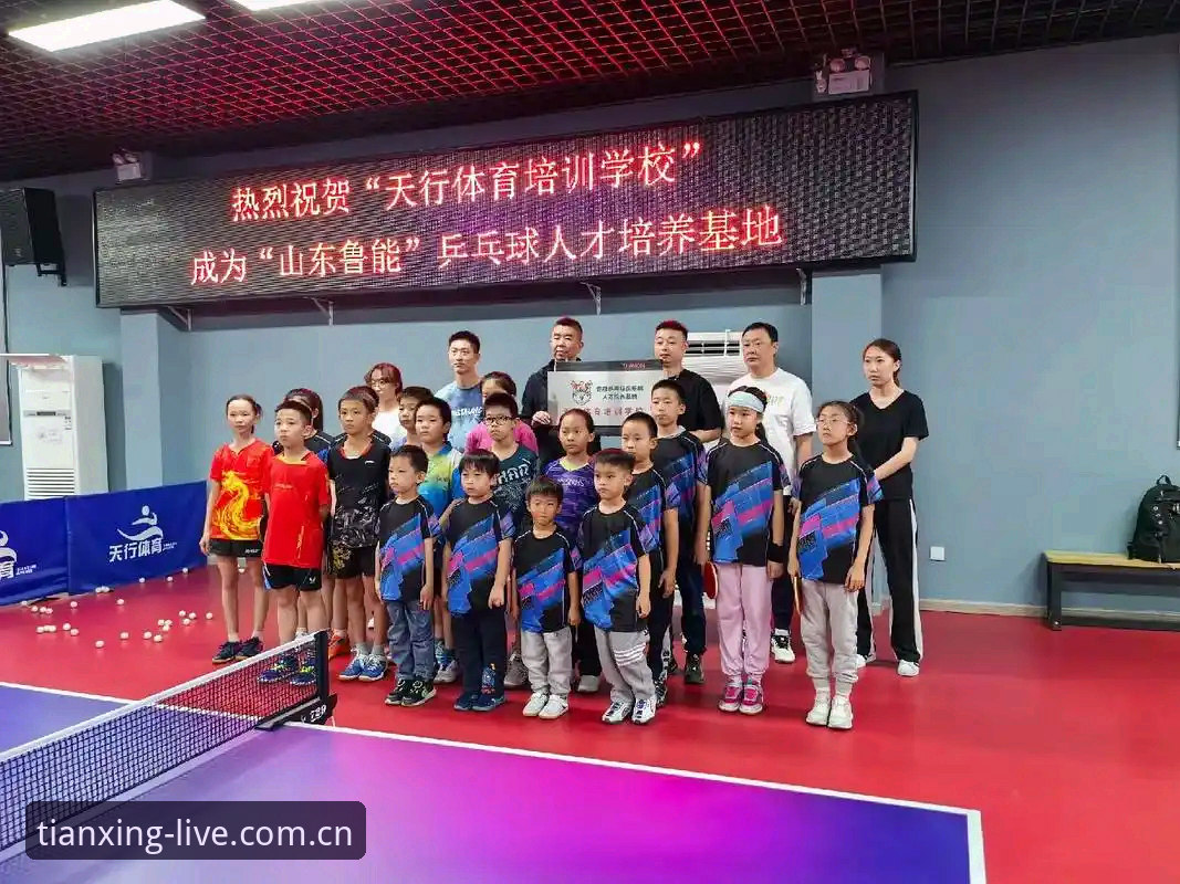 天行体育手机版常见问题深度分析：用户痛点与解决方案全面解析